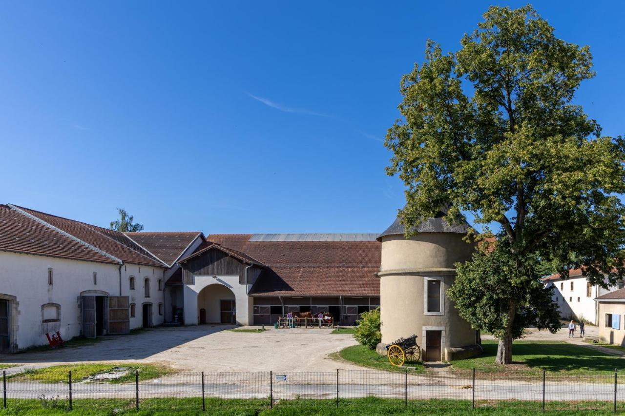 Hotel Du Chateau Villers-lès-Nancy Εξωτερικό φωτογραφία